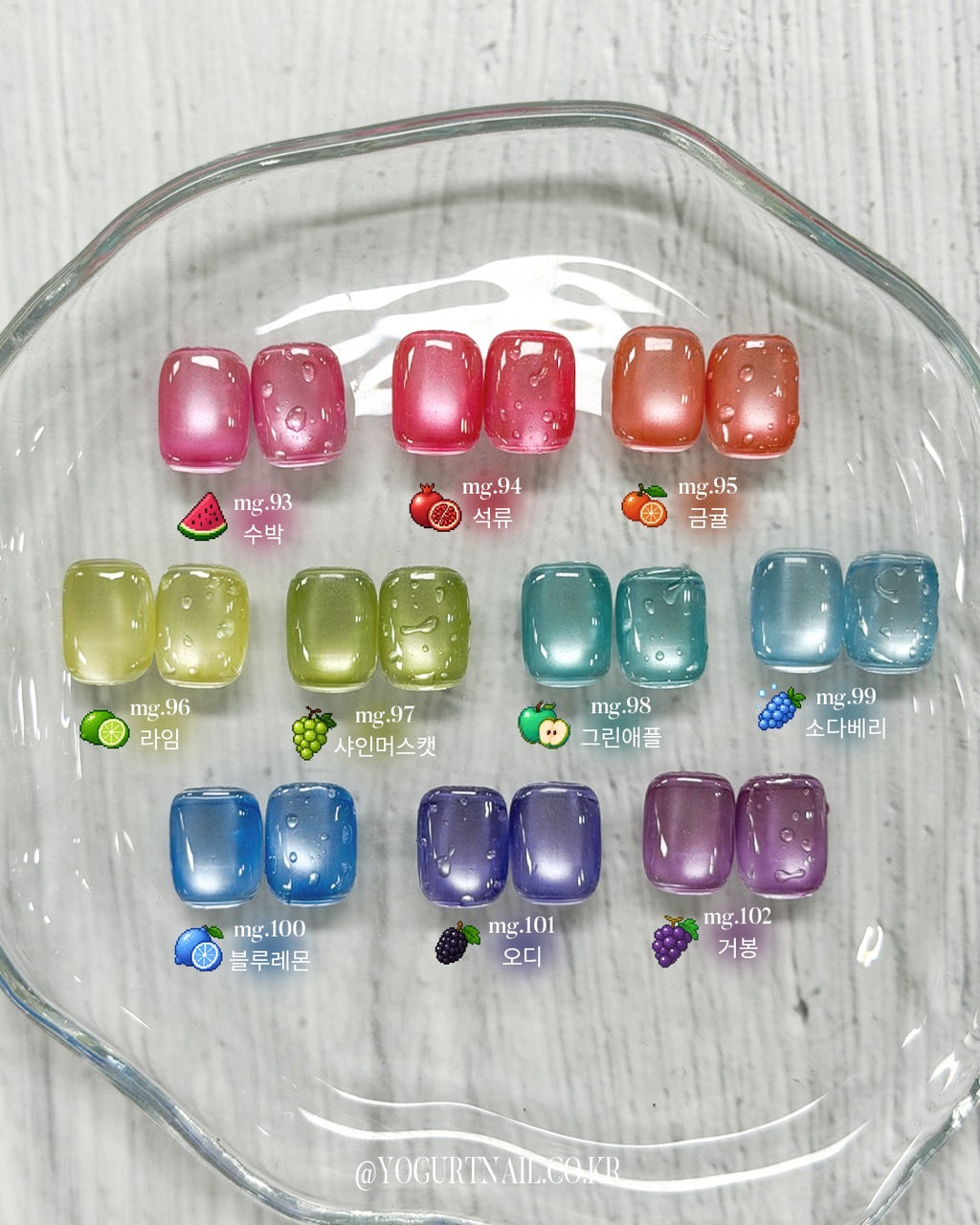 【YOGURT / 受注販売(7月中旬前後納期)】Fruits Magnet 10-types Collection