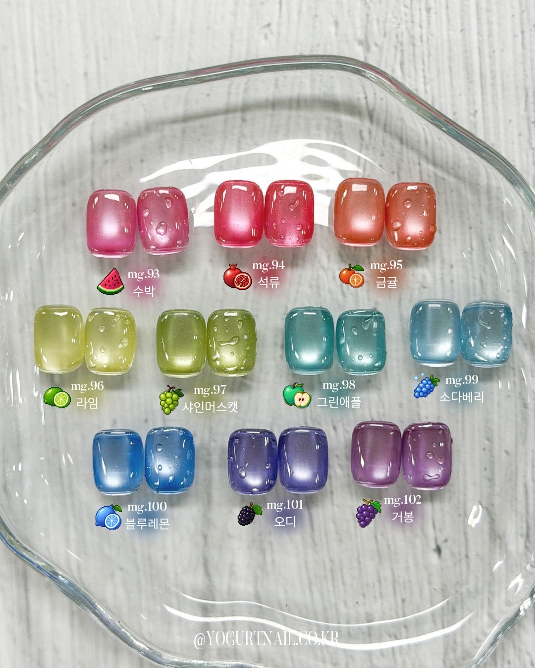 【YOGURT / 受注販売(7月中旬前後納期)】Fruits Magnet 10-types Collection