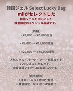 韓国ジェル Select Lucky Bag (福袋 40,000円相当)