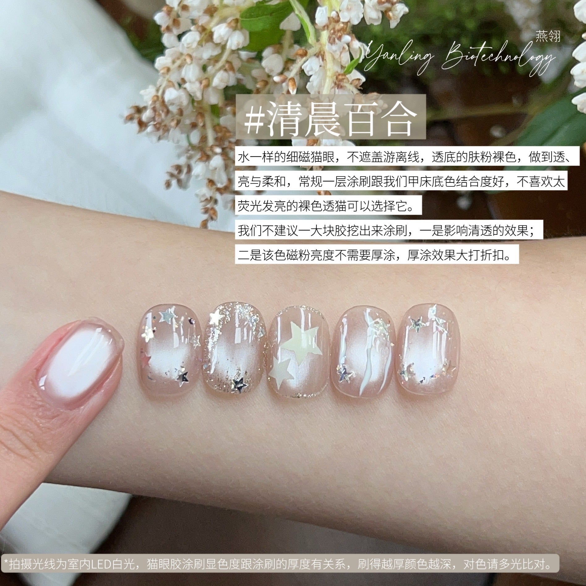 【Yanling / 受注販売(7月中旬前後納期)】Liu Guang Cat Eye Series — Roman Iris Translucent Base Cat Eye, Ultra-Fine Magnetic Powder Cat Eye Gel, Water-Glow Ice-Clear Cat Eye / 流光猫眼系列 / Glass Cat Eye