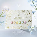 【JIN.B / 受注販売(10月末前後納期)】Millefiori Clear Magnetic Color Gel 6 Colors Single Item 11ml