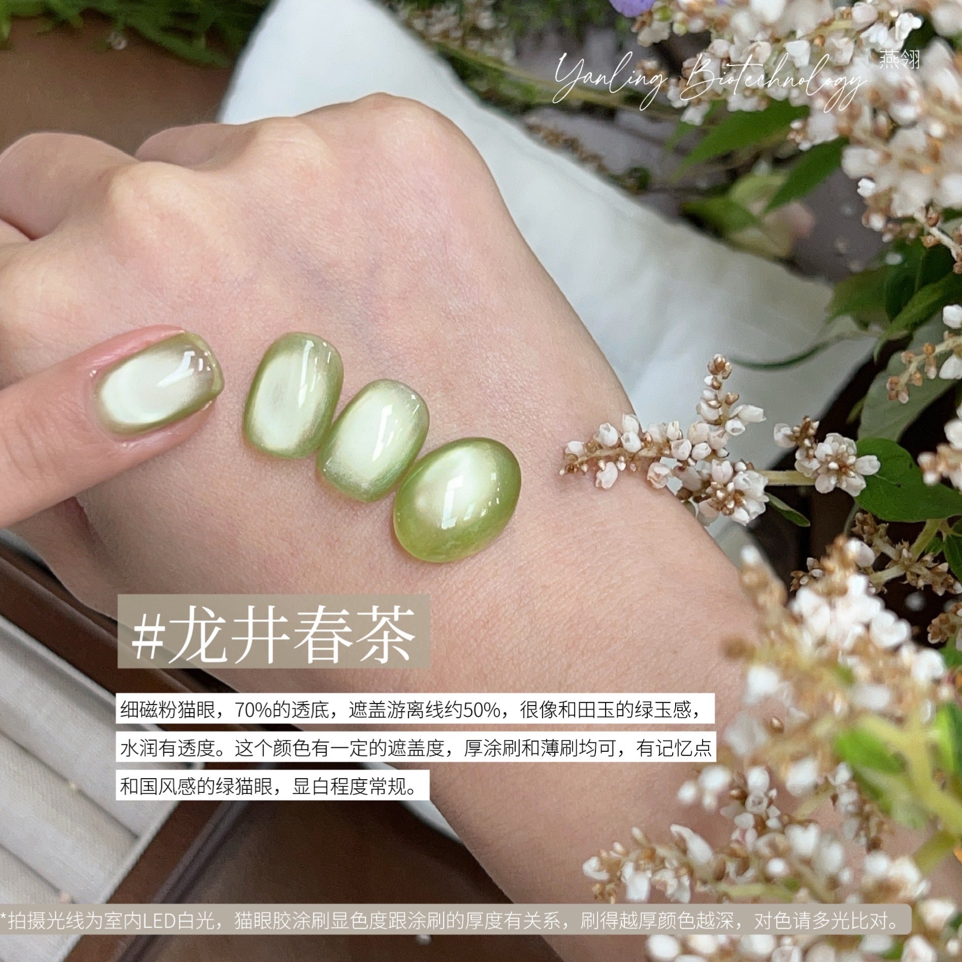 【Yanling / 受注販売(7月中旬前後納期)】Liu Guang Cat Eye Series — Roman Iris Translucent Base Cat Eye, Ultra-Fine Magnetic Powder Cat Eye Gel, Water-Glow Ice-Clear Cat Eye / 流光猫眼系列 / Glass Cat Eye