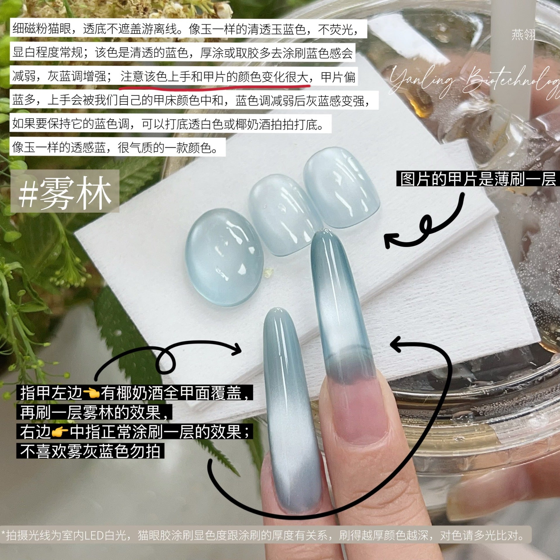 【Yanling / 受注販売(7月中旬前後納期)】Liu Guang Cat Eye Series — Roman Iris Translucent Base Cat Eye, Ultra-Fine Magnetic Powder Cat Eye Gel, Water-Glow Ice-Clear Cat Eye / 流光猫眼系列 / Glass Cat Eye