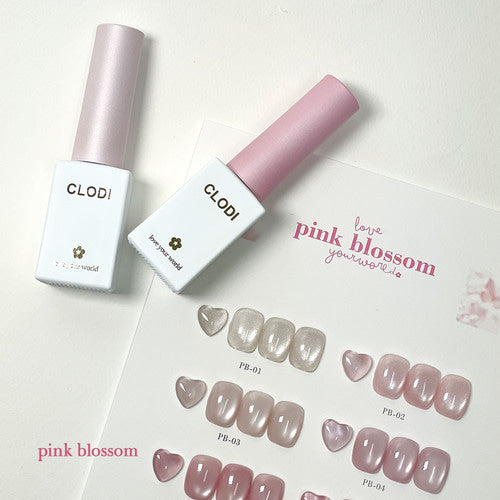 CLODI JAPAN – mii