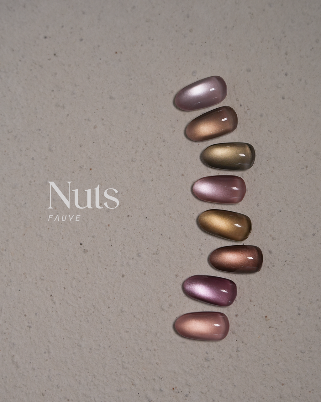 【FAUVE】Nuts: Reflective & Magnet Collection 16-piece set
