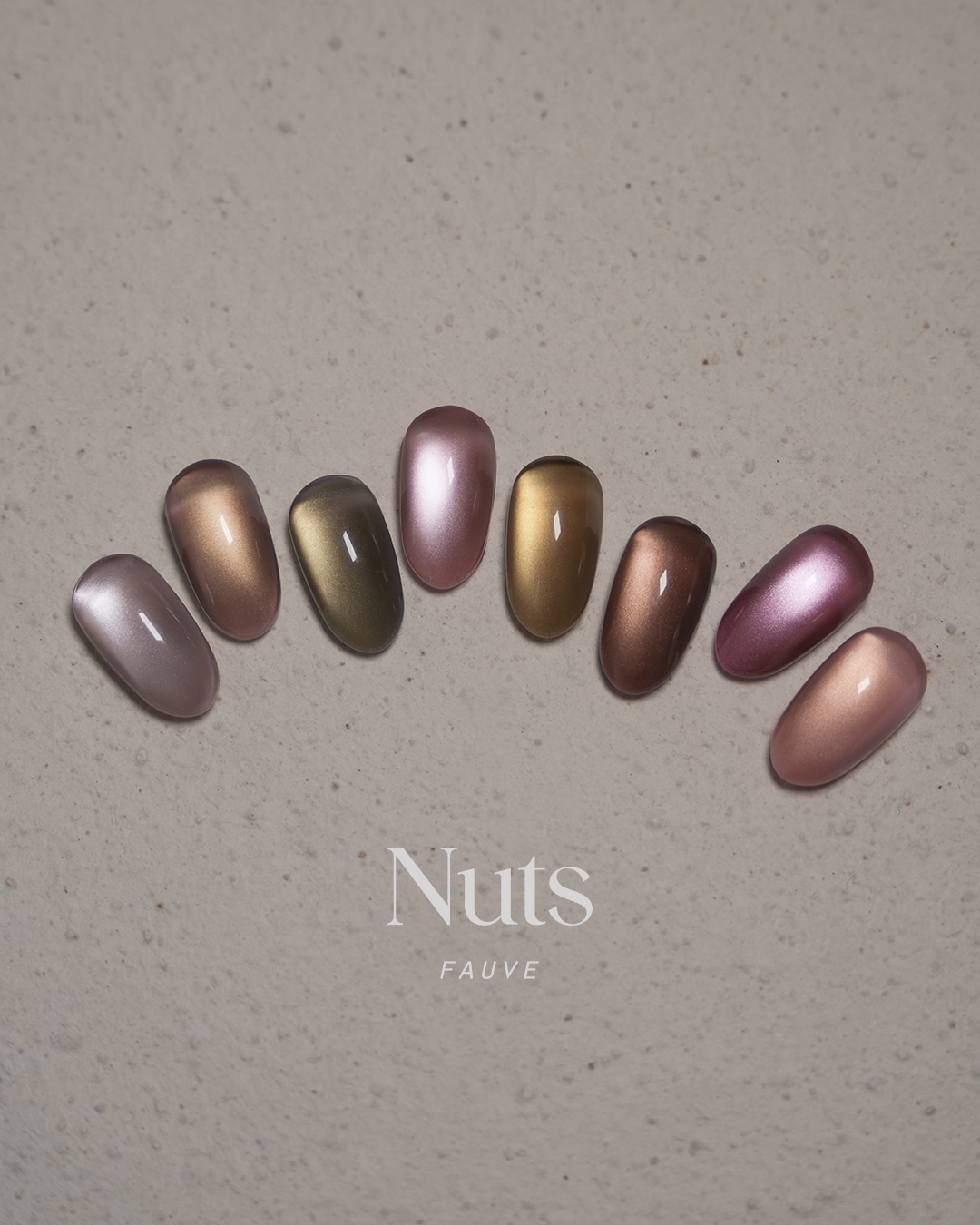 【FAUVE】Nuts: Reflective & Magnet Collection 16-piece set