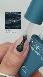 【DGEL / 受注販売(8月末前後納期)】Ocean Collection 8 Types Collection